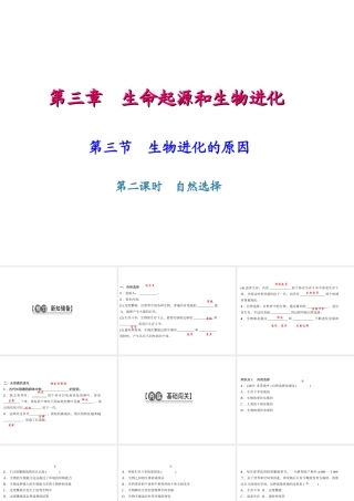 八年级生物下册 7.3.3生物进化的原因（第2课时）课件 （新版）新人教版-（新版）新人教版初中八年级下册生物课件