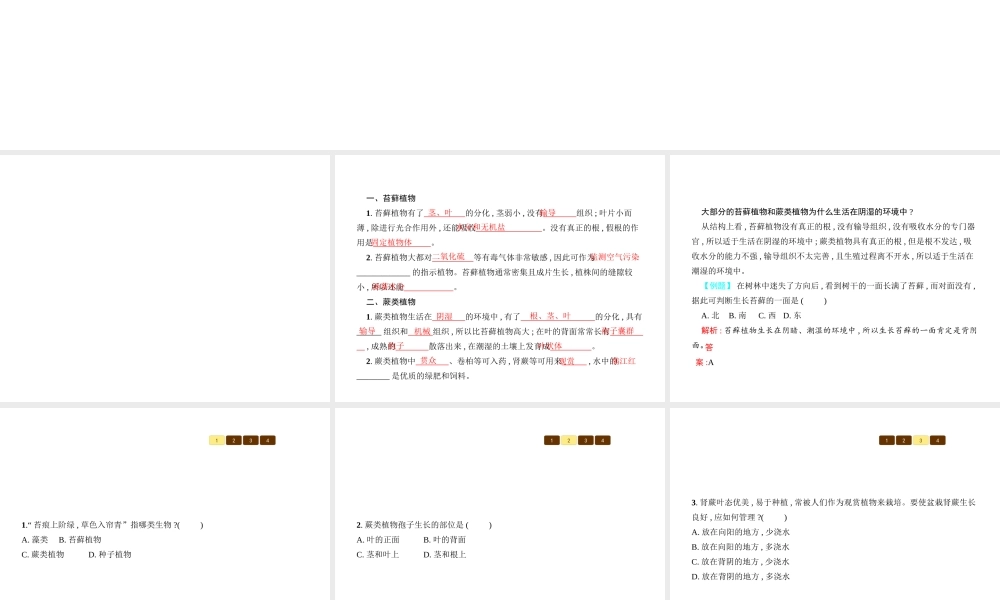 八年级生物下册 22.3植物的主要类群课件1 （新版）北师大版-（新版）北师大版初中八年级下册生物课件
