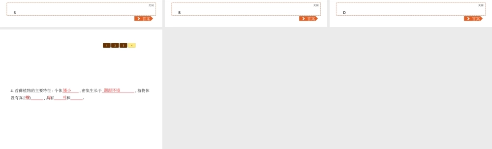八年级生物下册 22.3植物的主要类群课件1 （新版）北师大版-（新版）北师大版初中八年级下册生物课件