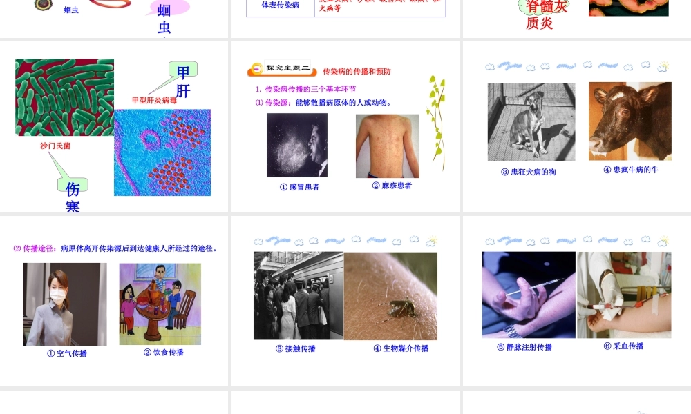 八年级生物下册 第18章 疾病与免疫 第一节 传染病课件 苏教版