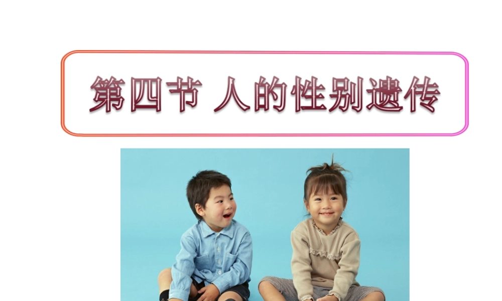 八年级生物下册 7.2.4 人的性别遗传课件4 （新版）新人教版