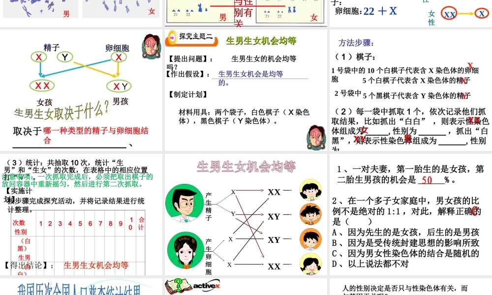 八年级生物下册 7.2.4 人的性别遗传课件4 （新版）新人教版