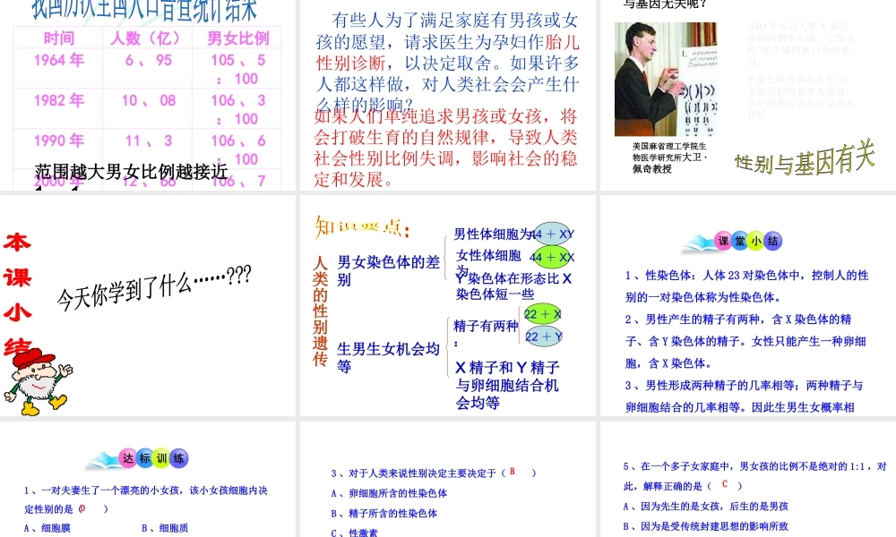 八年级生物下册 7.2.4 人的性别遗传课件4 （新版）新人教版