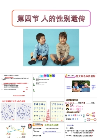 八年级生物下册 7.2.4 人的性别遗传课件4 （新版）新人教版
