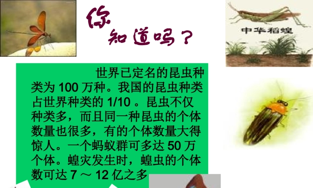 八年级生物下册 7.1.2 昆虫的生殖和发育课件（1）（新版）新人教版-（新版）新人教版初中八年级下册生物课件