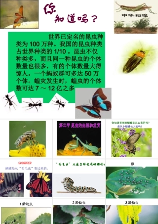 八年级生物下册 7.1.2 昆虫的生殖和发育课件（1）（新版）新人教版-（新版）新人教版初中八年级下册生物课件