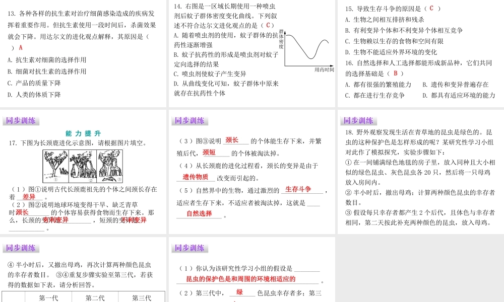 八年级生物下册 7.3.3生物进化的原因课件（新版）新人教版-（新版）新人教版初中八年级下册生物课件