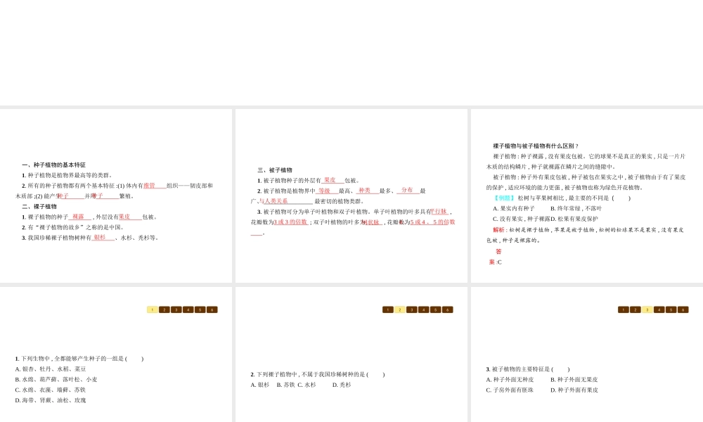 八年级生物下册 22.3植物的主要类群课件2 （新版）北师大版-（新版）北师大版初中八年级下册生物课件