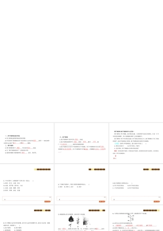 八年级生物下册 22.3植物的主要类群课件2 （新版）北师大版-（新版）北师大版初中八年级下册生物课件