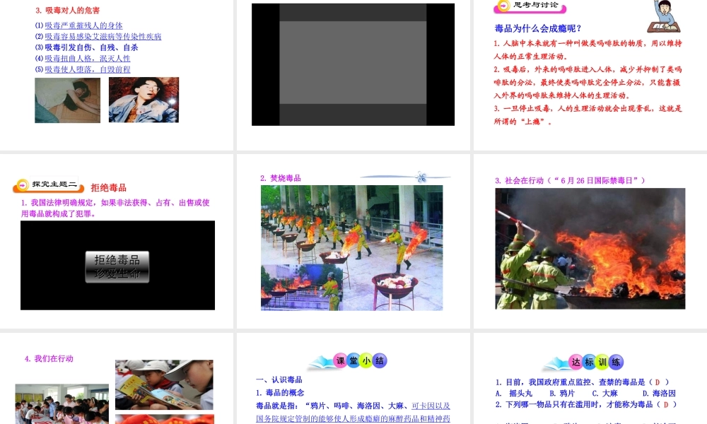 八年级生物下册 第19章 第二节 拒绝毒品课件 苏教版