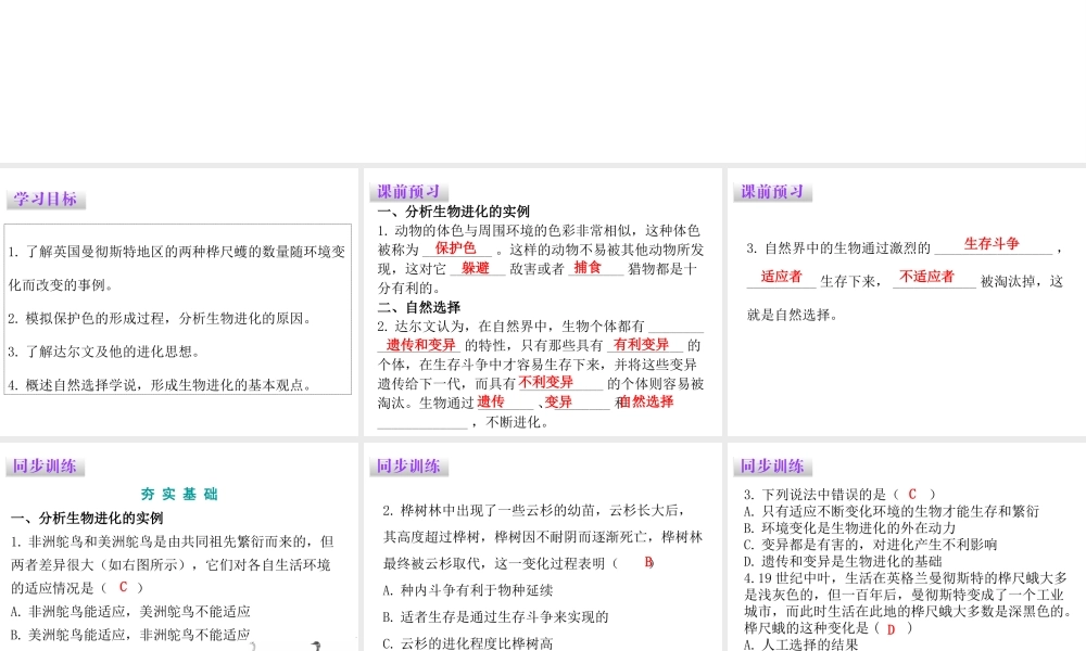 八年级生物下册 7.3.3生物进化的原因课件（新版）新人教版-（新版）新人教级下册生物课件