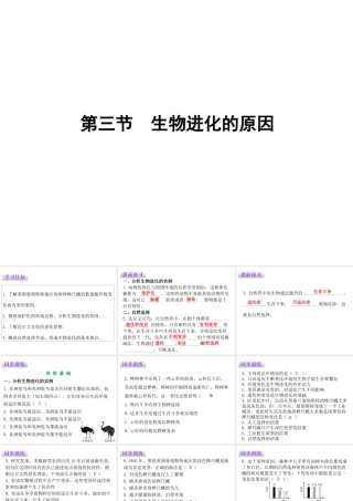 八年级生物下册 7.3.3生物进化的原因课件（新版）新人教版-（新版）新人教级下册生物课件
