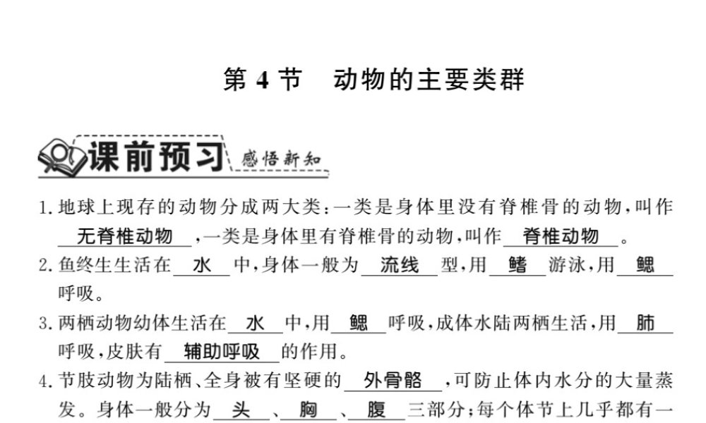 八年级生物下册 22.4 动物的主要类群课件 （新版）北师大版-（新版）北师大版初中八年级下册生物课件