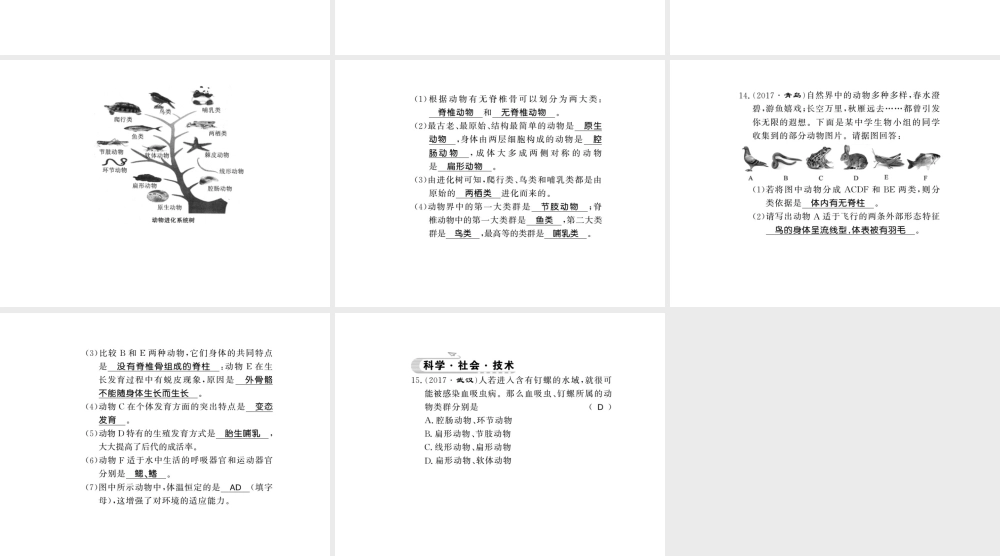 八年级生物下册 22.4 动物的主要类群课件 （新版）北师大版-（新版）北师大版初中八年级下册生物课件