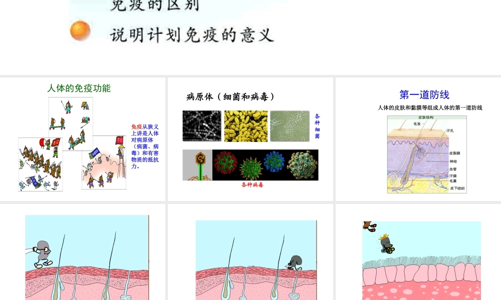 八年级生物下册 25.3 免疫课件 （新版）苏教版-（新版）苏教级下册生物课件