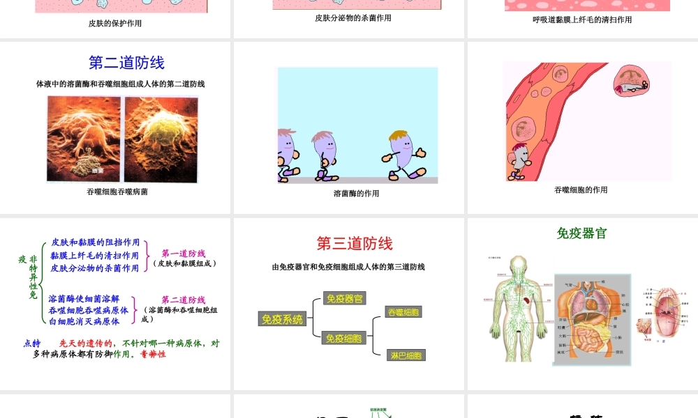 八年级生物下册 25.3 免疫课件 （新版）苏教版-（新版）苏教级下册生物课件