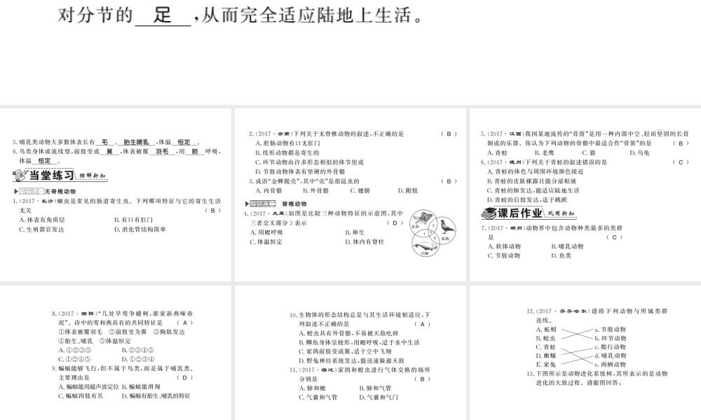 八年级生物下册 22.4 动物的主要类群课件 （新版）北师大版-（新版）北师大级下册生物课件