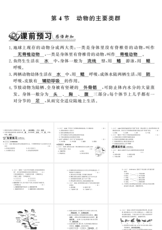 八年级生物下册 22.4 动物的主要类群课件 （新版）北师大版-（新版）北师大级下册生物课件