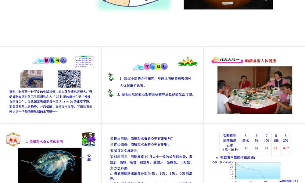 八年级生物下册 第19章 第一节 远离烟酒课件 苏教版