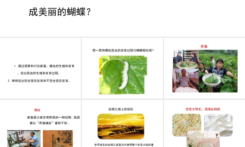 八年级生物下册 7.1.2 昆虫的生殖和发育课件（2）（新版）新人教版-（新版）新人教版初中八年级下册生物课件