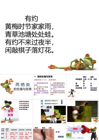 八年级生物下册 第八单元 第21章 第四节 两栖类的生殖与发育课件 （新版）苏教版