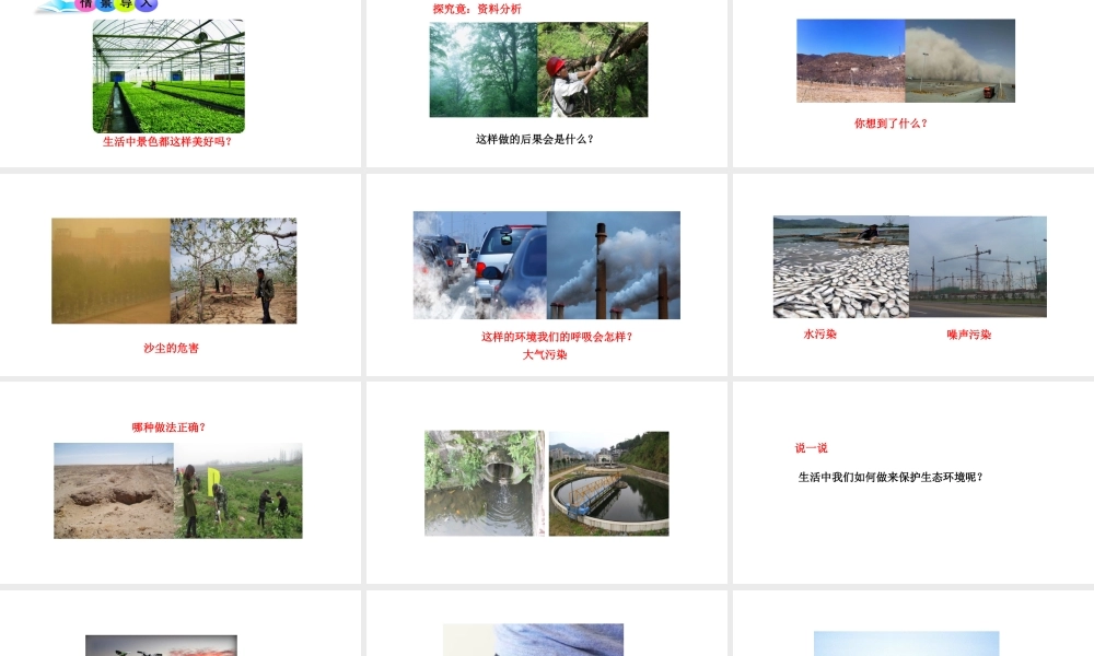 八年级生物下册 7.3.4保护生态环境教学课件 （新版）冀教版-（新版）冀教版初中八年级下册生物课件