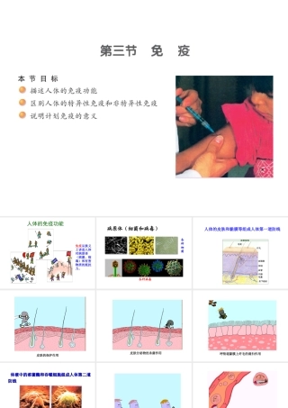 八年级生物下册 25.3 免疫课件 （新版）苏教版-人教版初中八年级全册生物课件