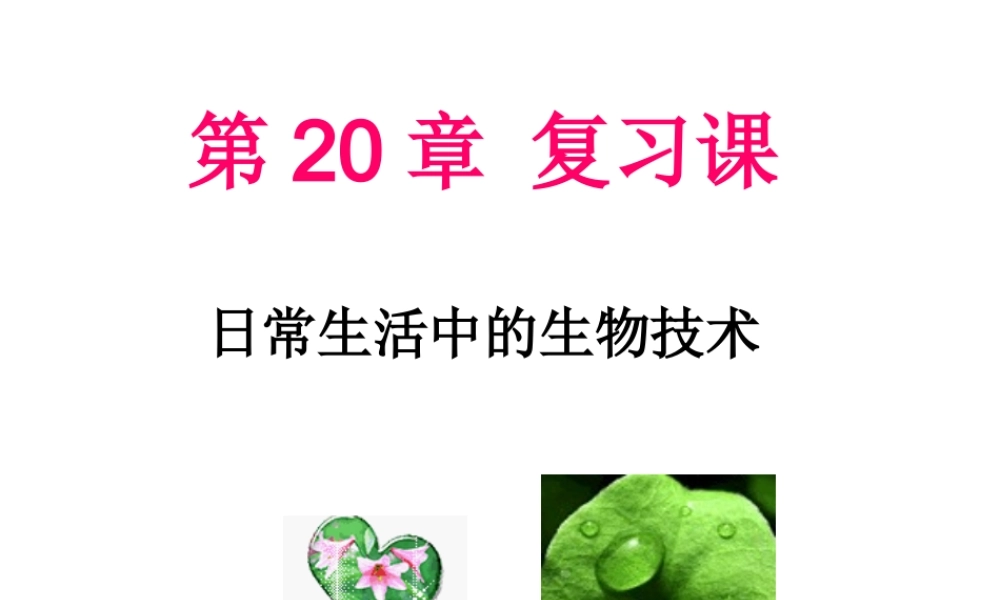 八年级生物下册 第20章《日常生活中的生物技术》课件 苏教版