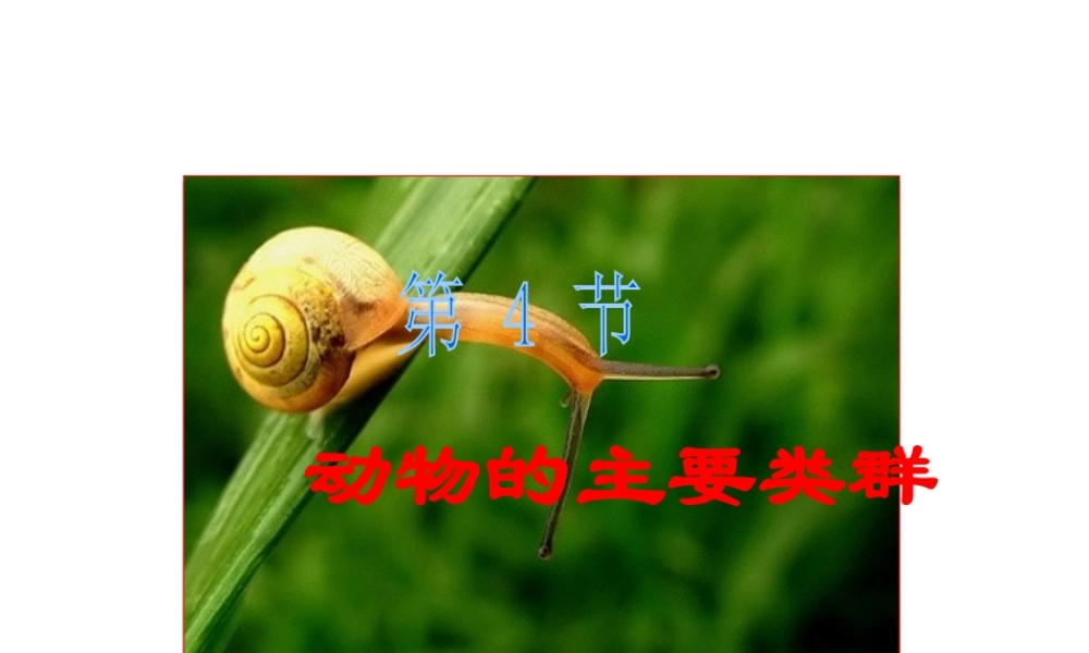 八年级生物下册 22.4 动物的主要类群课件 北师大版
