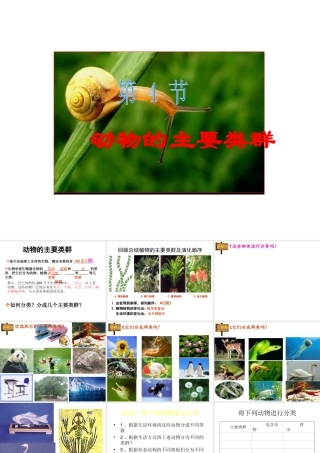 八年级生物下册 22.4 动物的主要类群课件 北师大版