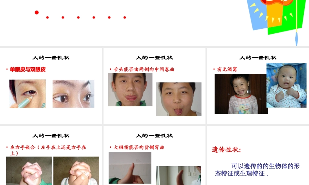 八年级生物下册 第八单元 第22章 第二节 人的性状和遗传课件 （新版）苏教版