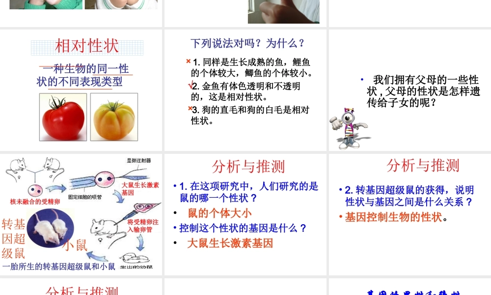 八年级生物下册 第八单元 第22章 第二节 人的性状和遗传课件 （新版）苏教版