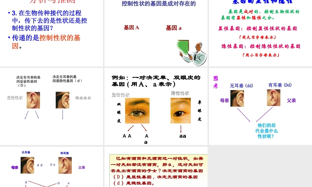 八年级生物下册 第八单元 第22章 第二节 人的性状和遗传课件 （新版）苏教版