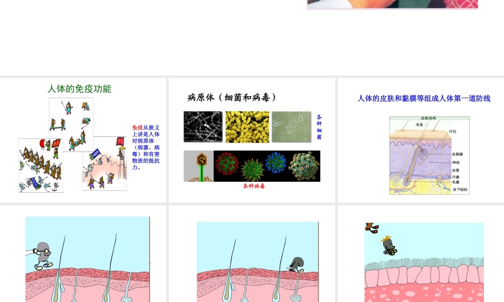 八年级生物下册 25.3 免疫课件 （新版）苏教版-人教级全册生物课件