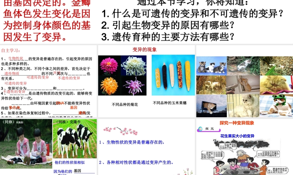 八年级生物下册 第八单元 第22章 第五节 生物的变异课件 （新版）苏教版