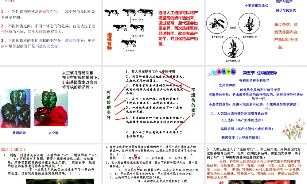 八年级生物下册 第八单元 第22章 第五节 生物的变异课件 （新版）苏教版