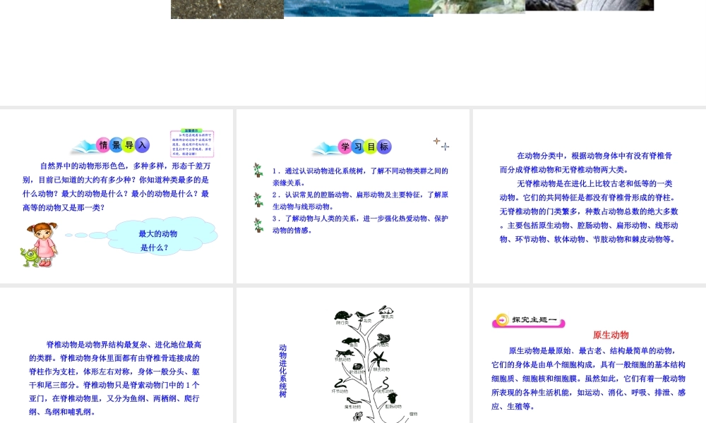 八年级生物下册 22.4 动物的主要类群课件 北师大版-北师大版初中八年级下册生物课件