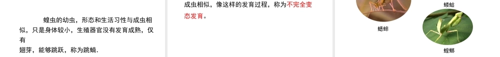八年级生物下册 7.1.2 昆虫的生殖和发育课件（2）（新版）新人教版-（新版）新人教级下册生物课件