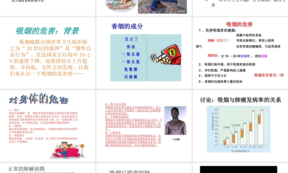 八年级生物下册 26.1 远离烟酒课件 （新版）苏教版-（新版）苏教版初中八年级下册生物课件