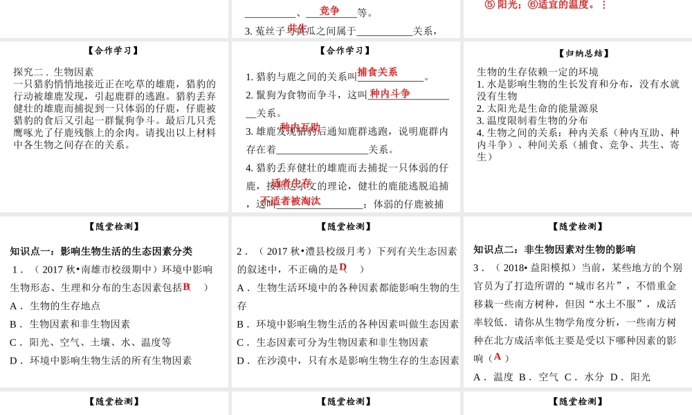 八年级生物下册 第八单元 第23章 第1节 生物的生存依赖一定的环境课件 （新版）北师大版-（新版）北师大级下册生物课件