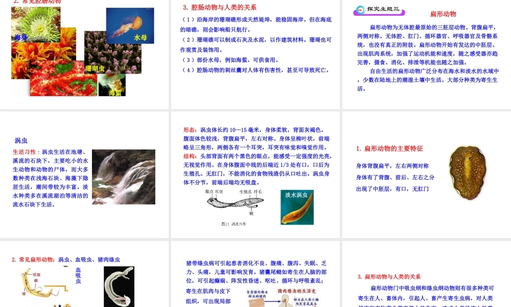 八年级生物下册 22.4 动物的主要类群课件 北师大版-北师大级下册生物课件