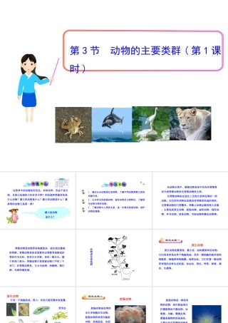 八年级生物下册 22.4 动物的主要类群课件 北师大版-北师大级下册生物课件