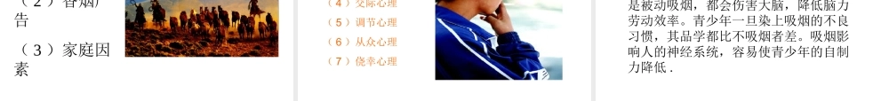 八年级生物下册 26.1 远离烟酒课件 （新版）苏教版-（新版）苏教级下册生物课件