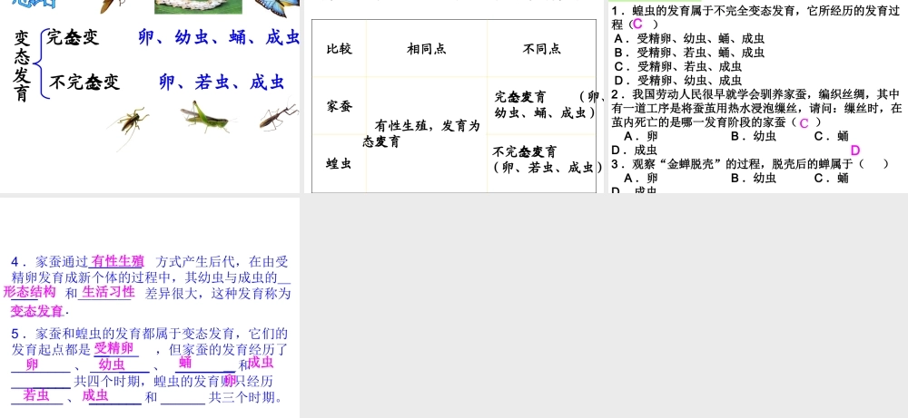八年级生物下册 7.1.2 昆虫的生殖和发育课件（3）（新版）新人教版-（新版）新人教级下册生物课件