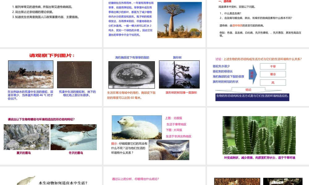 八年级生物下册 7.1.2 生物对环境的适应和影响课件 （新版）冀教版-（新版）冀教版初中八年级下册生物课件