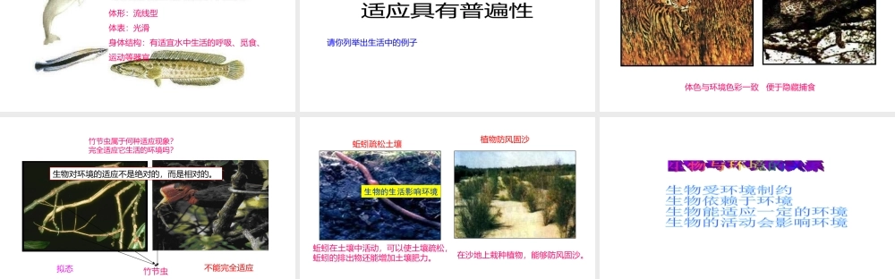 八年级生物下册 7.1.2 生物对环境的适应和影响课件 （新版）冀教版-（新版）冀教版初中八年级下册生物课件