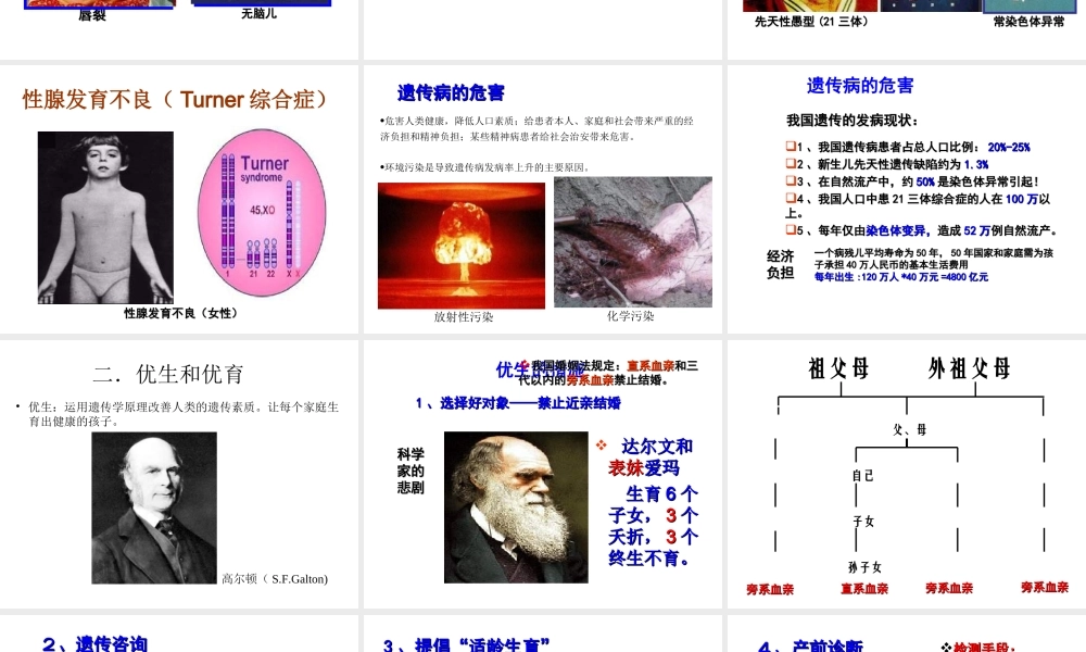 八年级生物下册 22.4 遗传病和优生优育课件 （新版）苏教版-（新版）苏教级下册生物课件