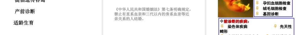 八年级生物下册 22.4 遗传病和优生优育课件 苏教版-苏教版初中八年级下册生物课件