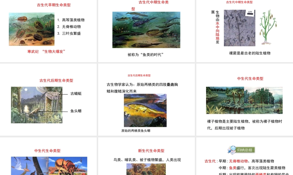 八年级生物下册 7.21.2《生物的进化》（第1课时）课件 北师大版-北师大版初中八年级下册生物课件