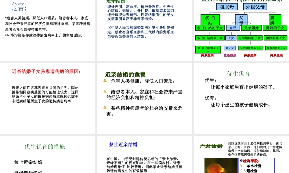 八年级生物下册 22.4 遗传病和优生优育课件 苏教版-苏教级下册生物课件